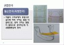 구강생리학 - 교합 11페이지