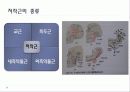 구강생리학 - 교합 18페이지