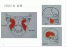 구강생리학 - 교합 19페이지