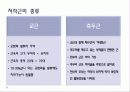 구강생리학 - 교합 20페이지