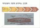구강생리학 - 교합 24페이지