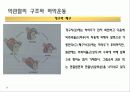 구강생리학 - 교합 25페이지