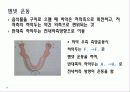 구강생리학 - 교합 27페이지
