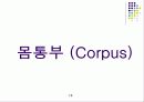 간, 위 조직학완성본 13페이지
