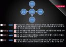 2011년 패션시장 분석과 SPA브랜드 분석 및 ZARA 조사 10페이지