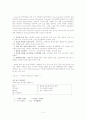 소비자 중심 평가 모형(종합) 4페이지