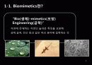 생체모방공학의 응용분야, 생체모방공학의 과거와 현재 미래 4페이지