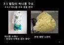 생체모방공학의 응용분야, 생체모방공학의 과거와 현재 미래 20페이지