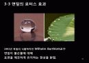 생체모방공학의 응용분야, 생체모방공학의 과거와 현재 미래 30페이지