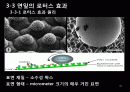 생체모방공학의 응용분야, 생체모방공학의 과거와 현재 미래 31페이지