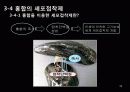생체모방공학의 응용분야, 생체모방공학의 과거와 현재 미래 39페이지