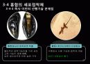 생체모방공학의 응용분야, 생체모방공학의 과거와 현재 미래 41페이지