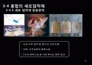 생체모방공학의 응용분야, 생체모방공학의 과거와 현재 미래 43페이지