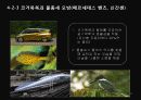 생체모방공학의 응용분야, 생체모방공학의 과거와 현재 미래 51페이지