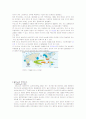 라니냐와_엘리뇨-발표자료 8페이지