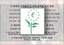 2011 H&M 매장 분석 및 SPA 브랜드 분석 12페이지