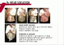 2011 H&M 매장 분석 및 SPA 브랜드 분석 40페이지