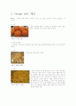 jam(젬) jelly(젤리) 제조 재료 및 방법 결과 고찰 14페이지