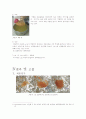jam(젬) jelly(젤리) 제조 재료 및 방법 결과 고찰 15페이지