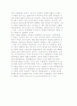 관료활동의 정치적 성격 4페이지