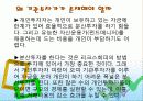 기관투자가 분석 5페이지