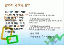 기관투자가 분석 11페이지