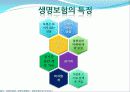 생명보험 완성본 6페이지