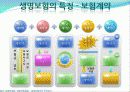 생명보험 완성본 7페이지