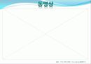 생명보험 완성본 22페이지