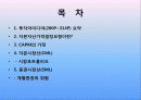 -자본자산가격결정모형(CAPM) 2페이지