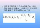 -자본자산가격결정모형(CAPM) 9페이지