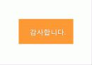 인도네시아 경제발전 17페이지