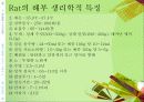 (실험동물) Rat, Hamster의 실험용도 및 관리 4페이지
