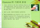 (실험동물) Rat, Hamster의 실험용도 및 관리 11페이지