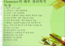 (실험동물) Rat, Hamster의 실험용도 및 관리 12페이지