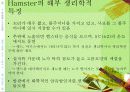 (실험동물) Rat, Hamster의 실험용도 및 관리 13페이지
