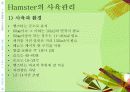 (실험동물) Rat, Hamster의 실험용도 및 관리 14페이지