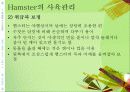 (실험동물) Rat, Hamster의 실험용도 및 관리 15페이지