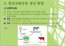 형질전환동물 PPT 5페이지