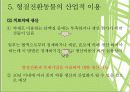 형질전환동물 PPT 11페이지