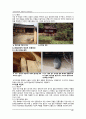 전통건축의 친환경성과 현대에의 적용_보고서 5페이지