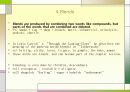 영어학입문 Word Coinage 13페이지