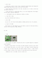 과학탐구보고서_ 네잎클로버를 찾은 것이 정말 행운이라 할 수 있는지에 대한 확률과 통계적 검증 3페이지