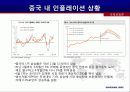 차이나 인플레이션의 원인과 영향 6페이지