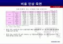차이나 인플레이션의 원인과 영향 14페이지
