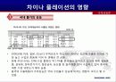 차이나 인플레이션의 원인과 영향 22페이지
