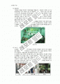 레지오 에밀리아 접근법과 발도르프 프로그램의 유아를 위한 교육에 대한 연구 12페이지