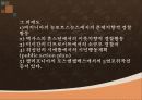 우리나라의 지역경찰활동과 외국의 지역경찰활동의 비교및 사례 12페이지