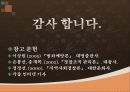우리나라의 지역경찰활동과 외국의 지역경찰활동의 비교및 사례 28페이지