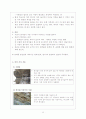 4학년2학기 초등과학교육수업 분석 및 과정안 27페이지